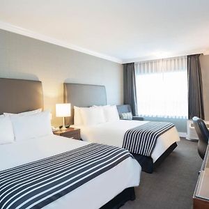 Standard Room 2 Double Beds